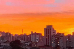 1_fl